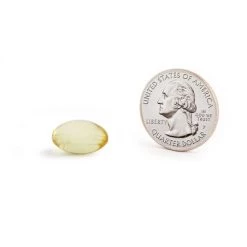 Up & Up 100% Wild Alaskan Half-the-Size Fish Oil Softgels - 200ct - up & up™ -Up & Up Sales Shop GUEST 14725afc 05fb 4ed6 bb3e 8f8a19d347dc